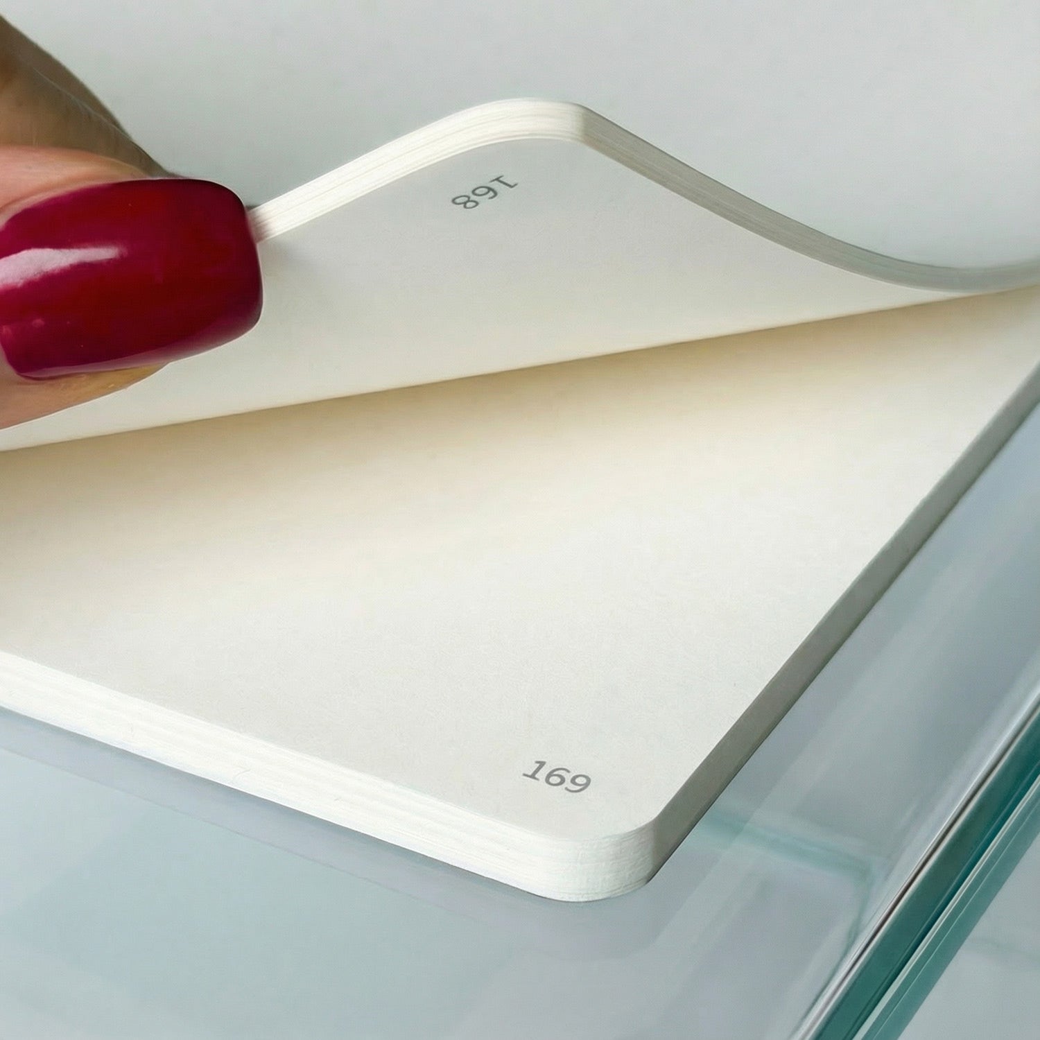 Notizbuch mit Blanko + Seitenzahlen