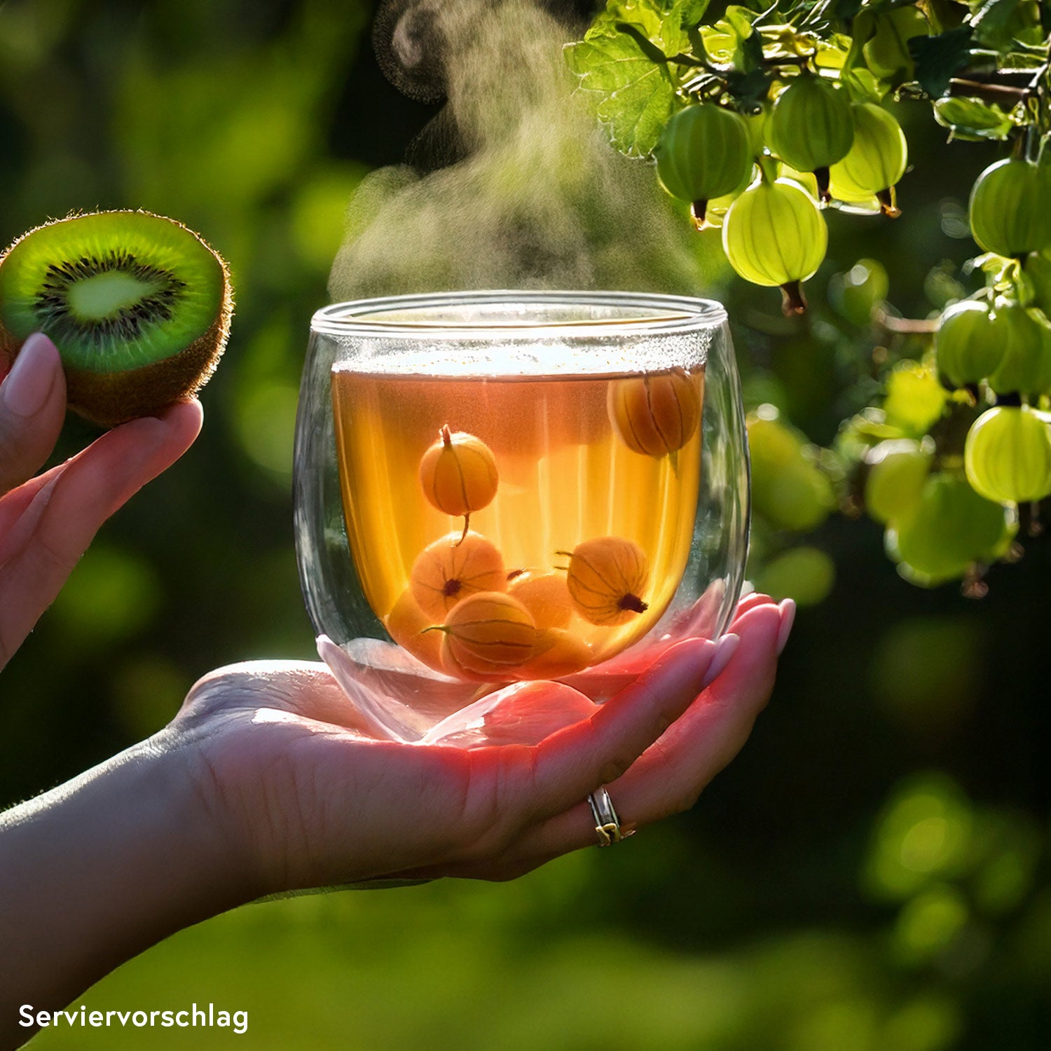 Früchtetee »Refresher« 🥝 (süß-säuerlich & erfrischend)