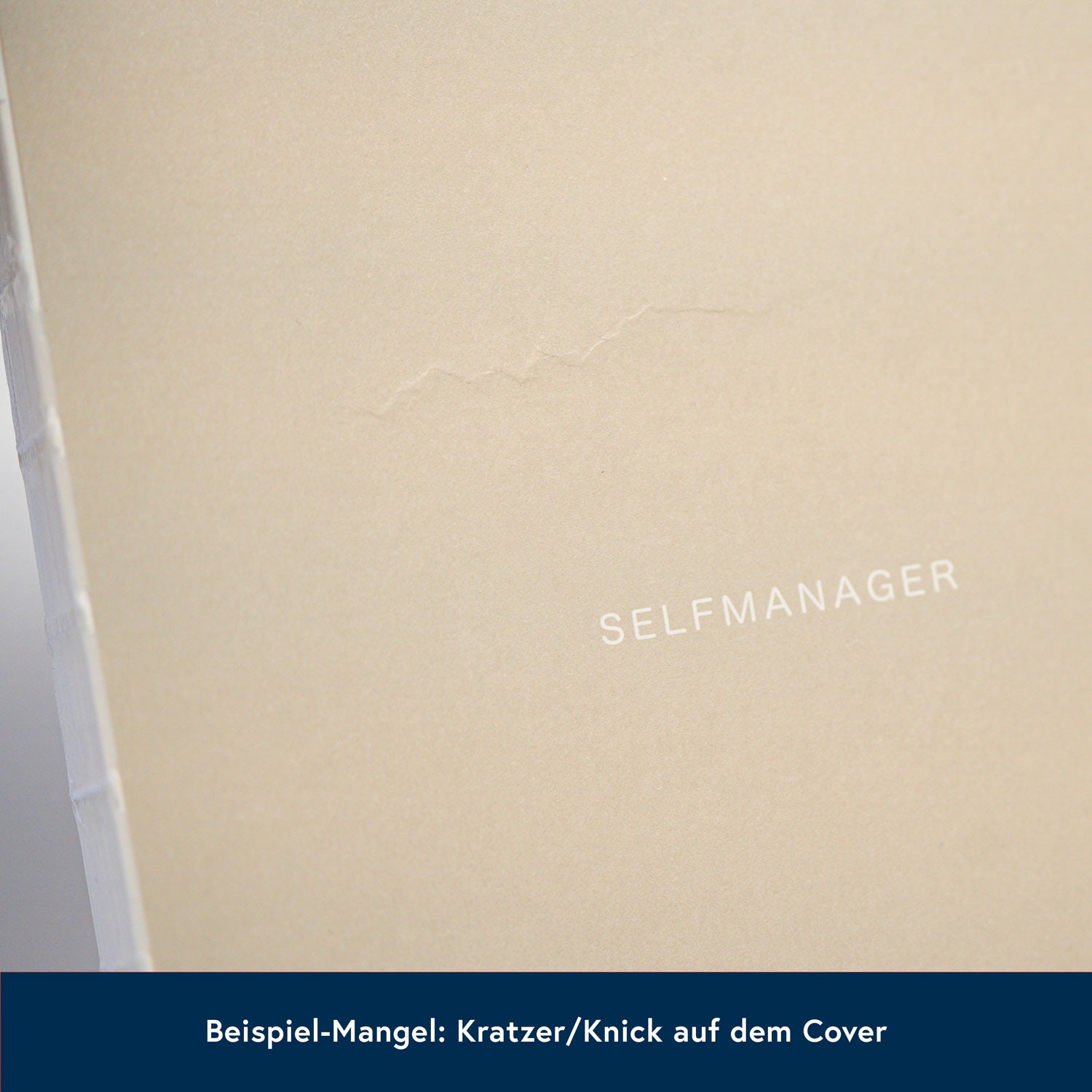 Selfmanager (Inhalt) B-Ware mit kleinen Schönheitsfehlern